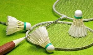 Cầu Lông 12Bet