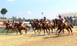 đua ngựa 12Bet