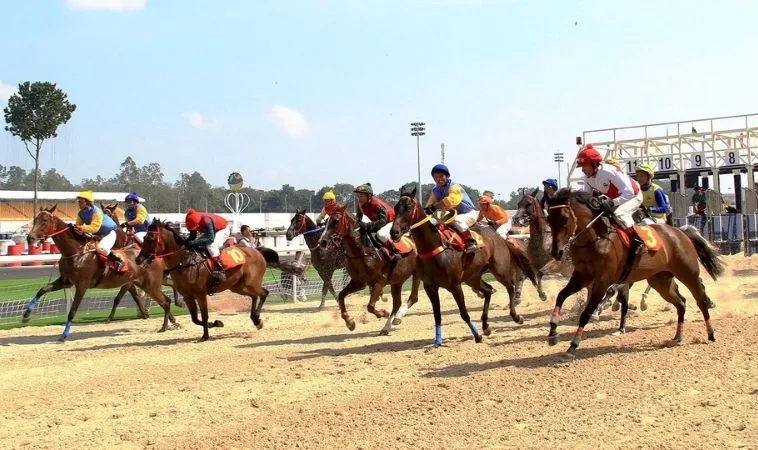 đua ngựa 12Bet